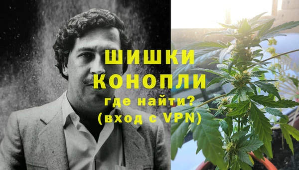 амф Осташков